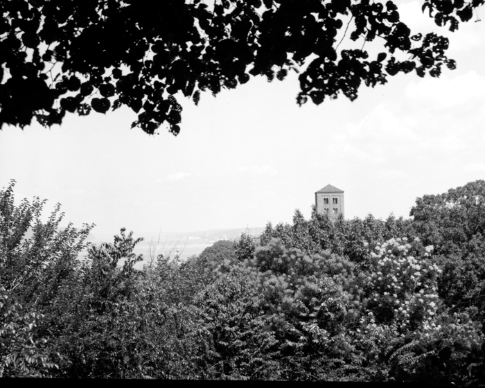 minerva_deak_f_c13_466-0004