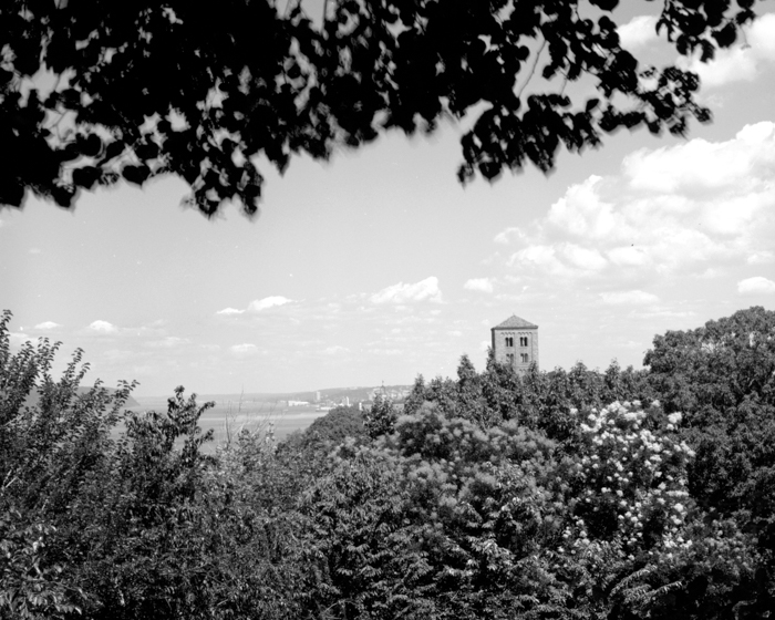 minerva_deak_f_c13_466-0005