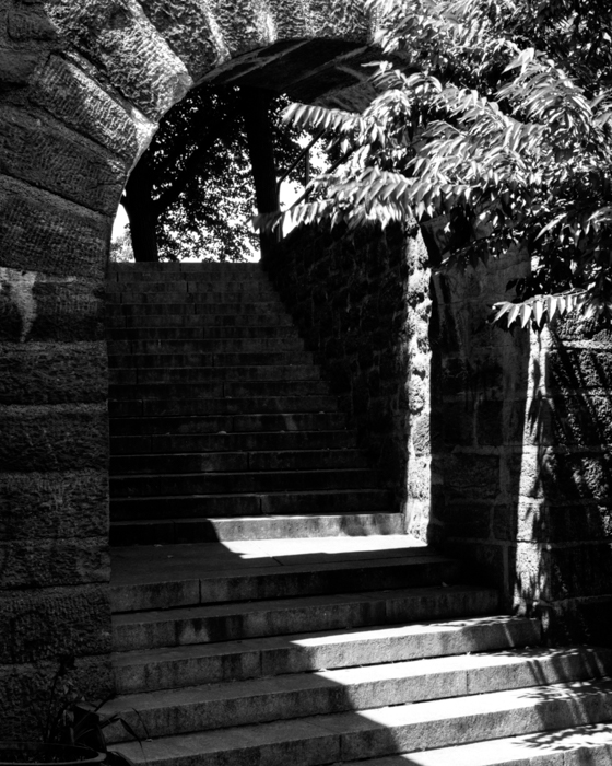 minerva_deak_f_c13_466-0008