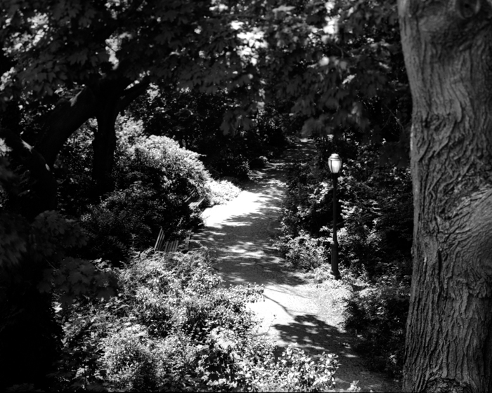 minerva_deak_f_c13_466-0010