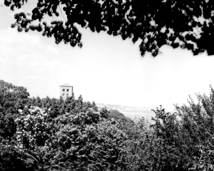 minerva_deak_f_c13_466-0014