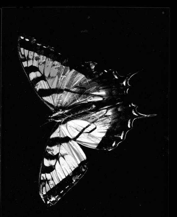 minerva_deak_f_c13_474-0002-2