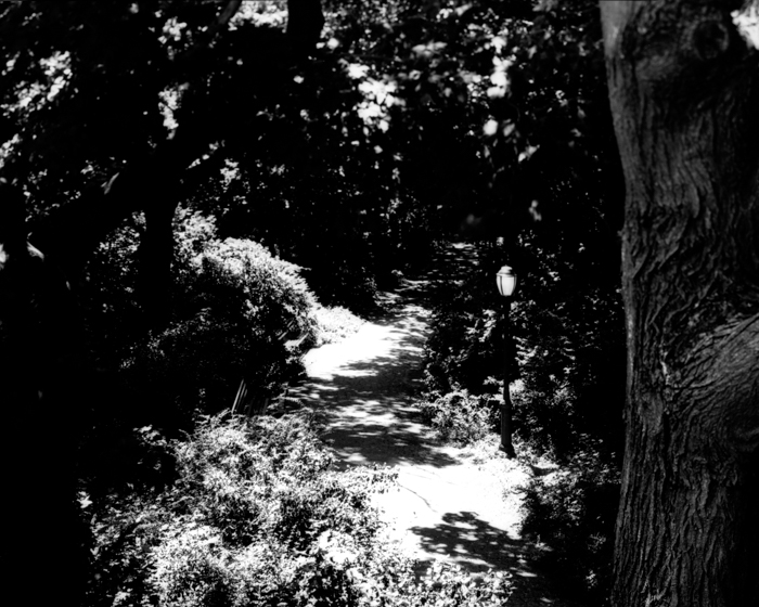 minerva_deak_f_c13_485_001