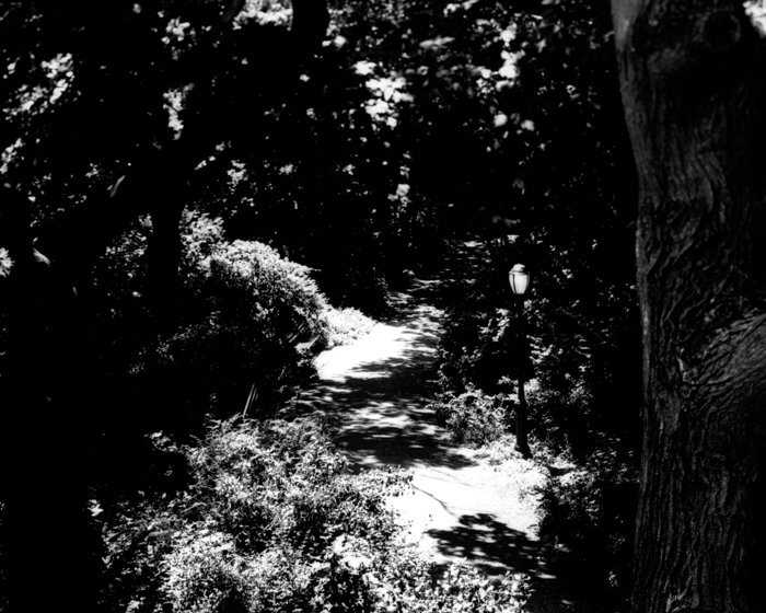 minerva_deak_f_c13_485_002