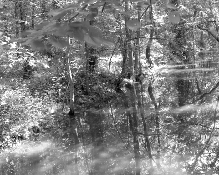 minerva_deak_f_c13_487-0001