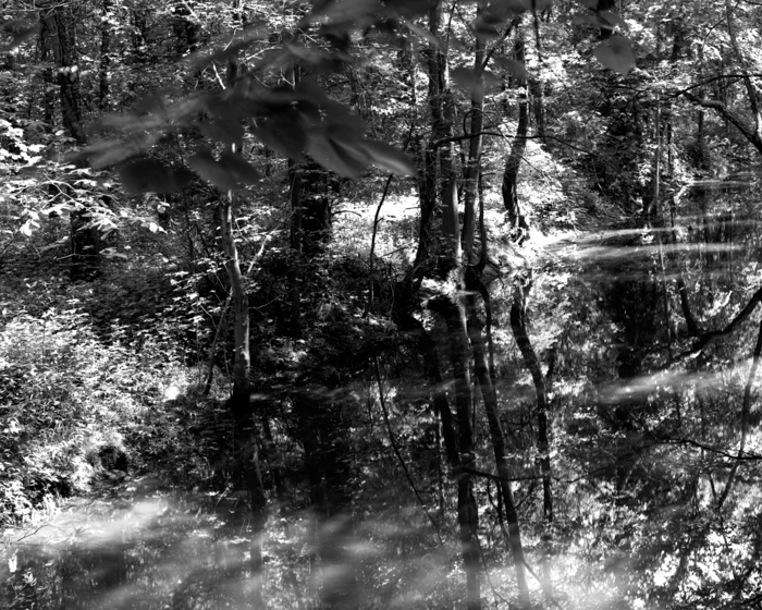 minerva_deak_f_c13_487-0002