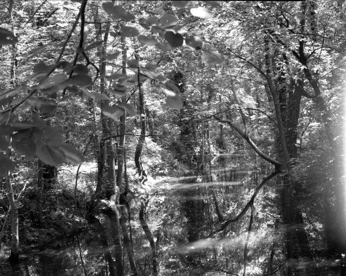 minerva_deak_f_c13_487-0004