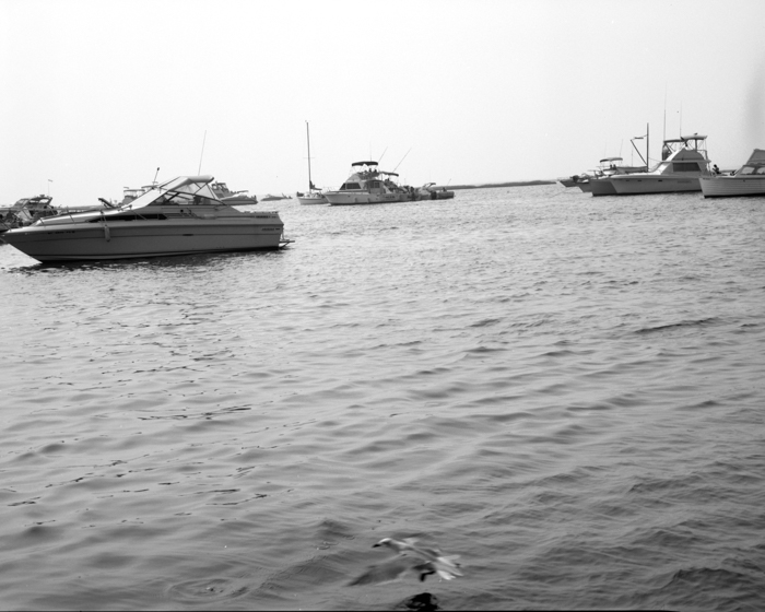 minerva_deak_f_c13_499-0001