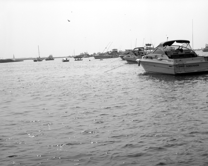 minerva_deak_f_c13_499-514-0008