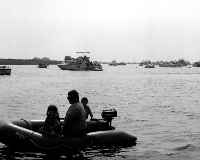 minerva_deak_f_c13_499-514-0012