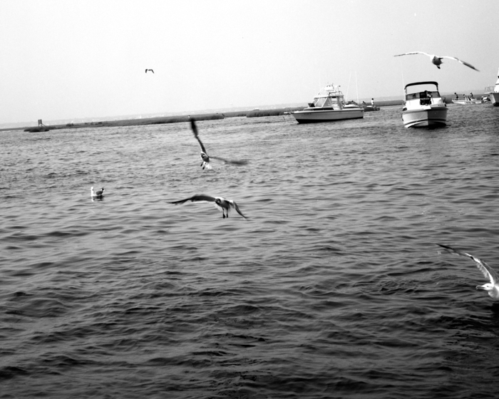 minerva_deak_f_c13_499-514-0013