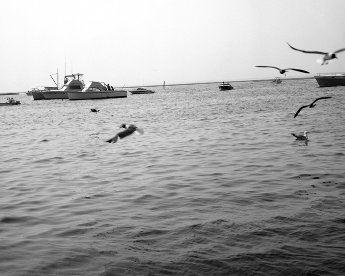 minerva_deak_f_c13_499-514-0015