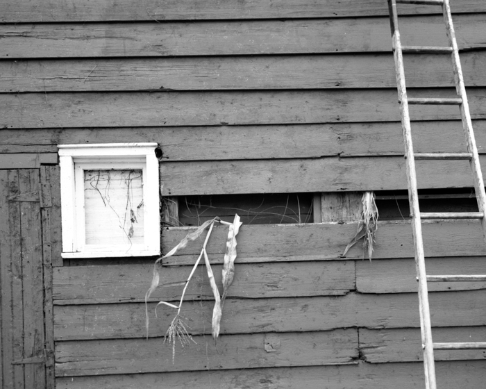 minerva_deak_f_c14_576-0001