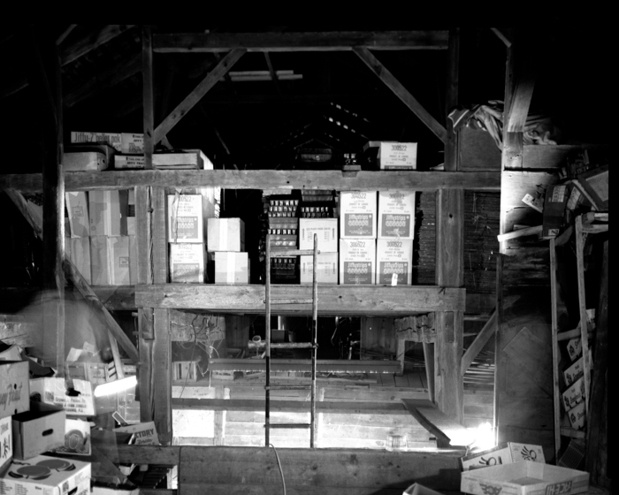 minerva_deak_f_c14_576-0004