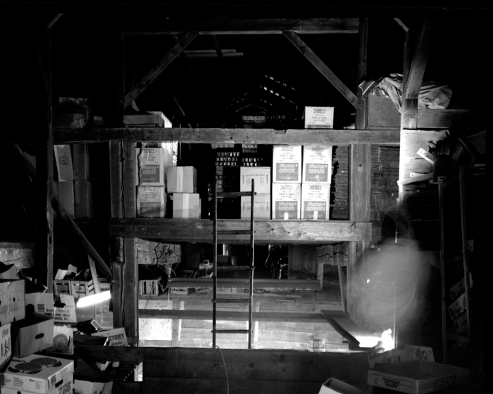 minerva_deak_f_c14_576-0005