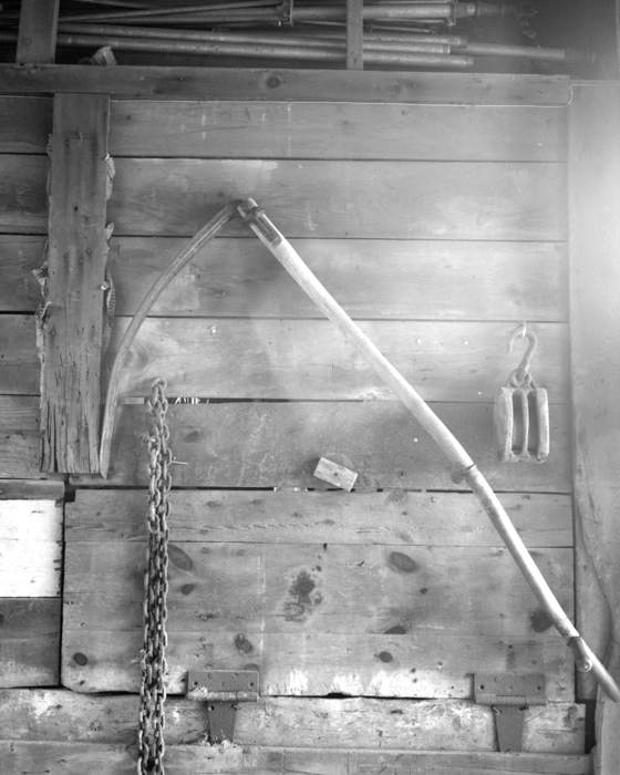 minerva_deak_f_c14_576-0006