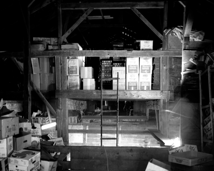 minerva_deak_f_c14_576-0007