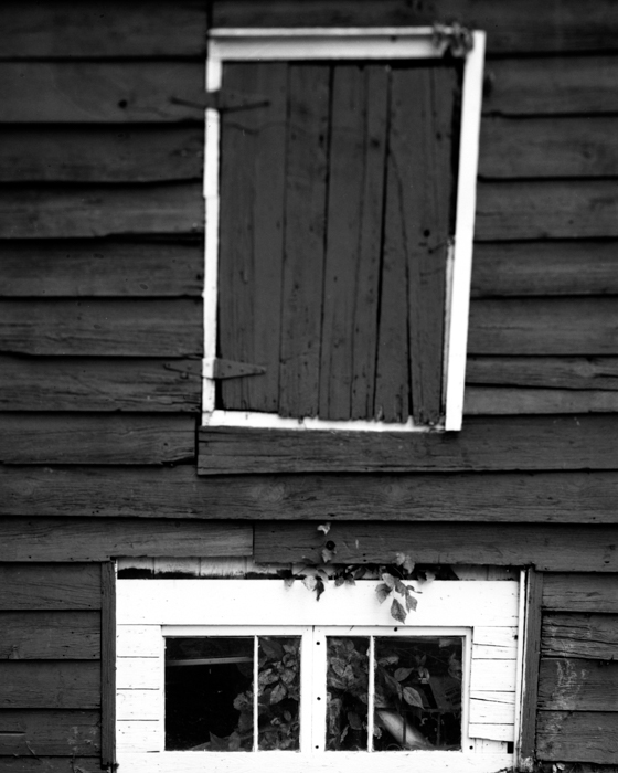 minerva_deak_f_c14_576-0009