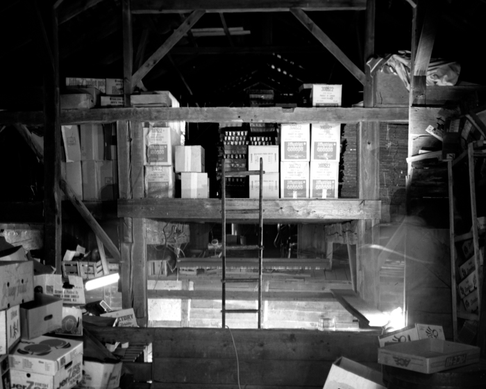 minerva_deak_f_c14_576-0013