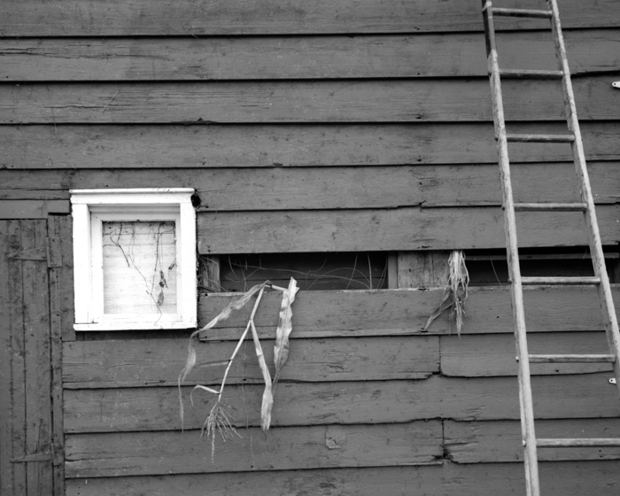 minerva_deak_f_c14_576-0019