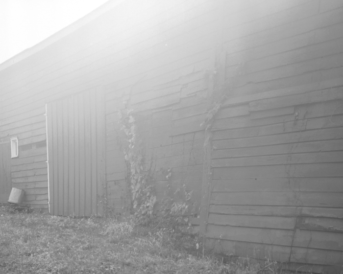 minerva_deak_f_c14_576-0020