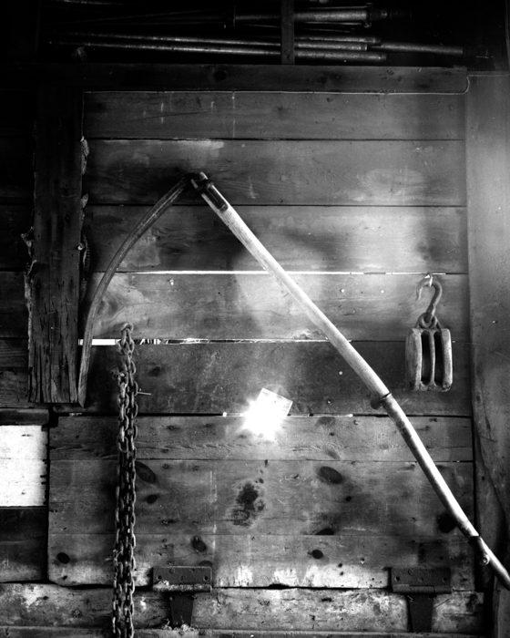 minerva_deak_f_c14_576-0021