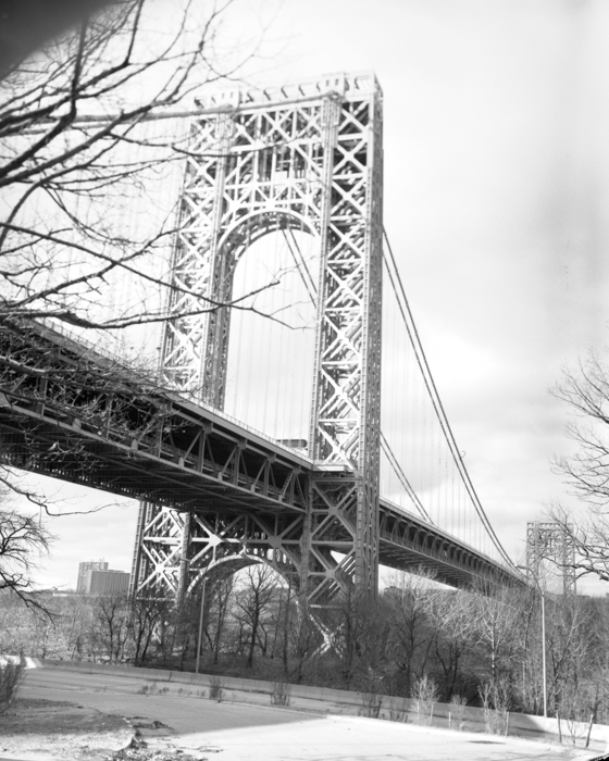 minerva_deak_f_c14_577-0002