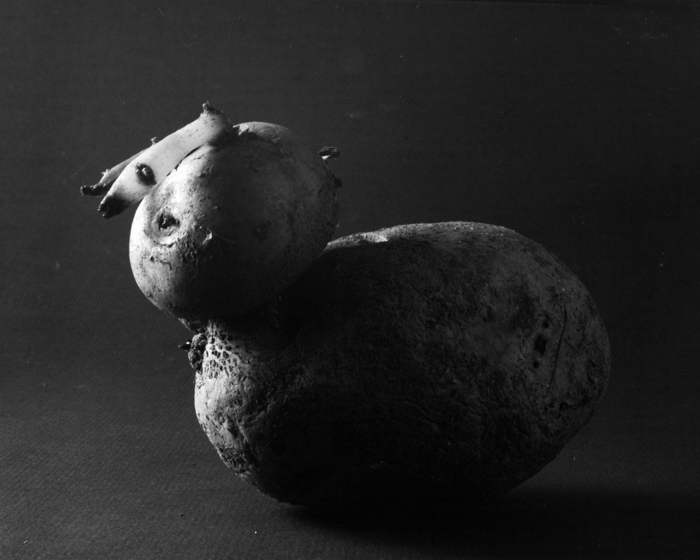 minerva_deak_f_c15_518-001