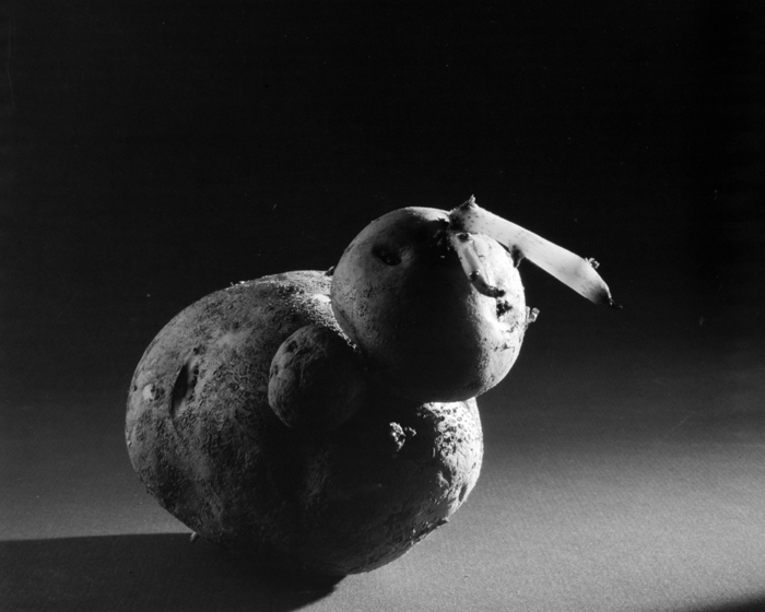 minerva_deak_f_c15_518-006