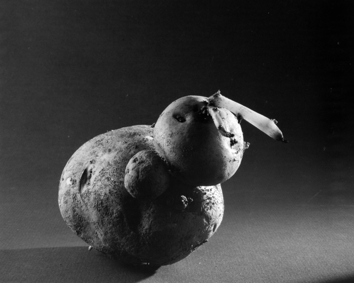 minerva_deak_f_c15_518-007