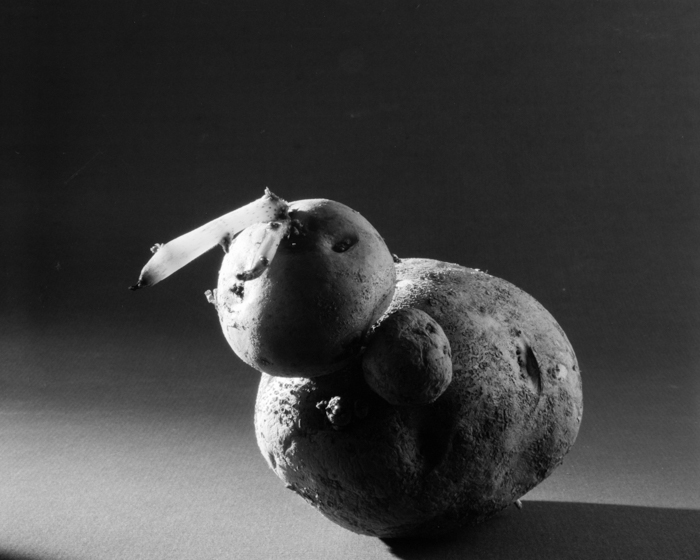 minerva_deak_f_c15_518-008