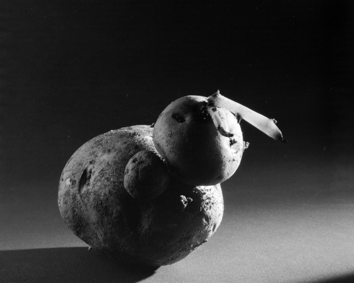 minerva_deak_f_c15_518-009