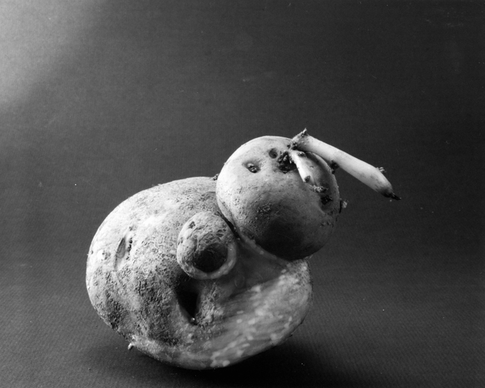 minerva_deak_f_c15_518-011