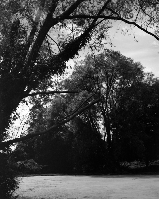 minerva_deak_f_c15_520-001