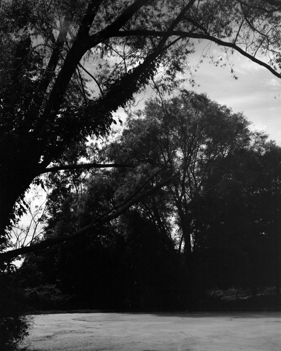 minerva_deak_f_c15_520-002