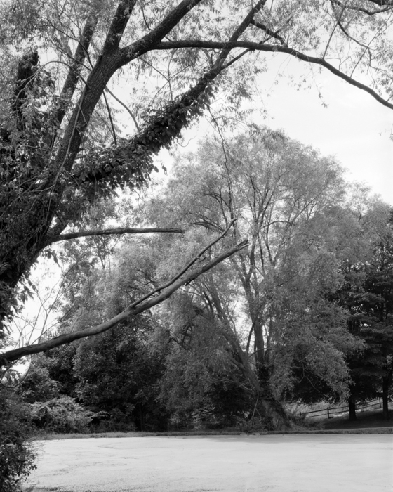 minerva_deak_f_c15_521-001