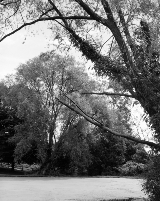 minerva_deak_f_c15_521-002