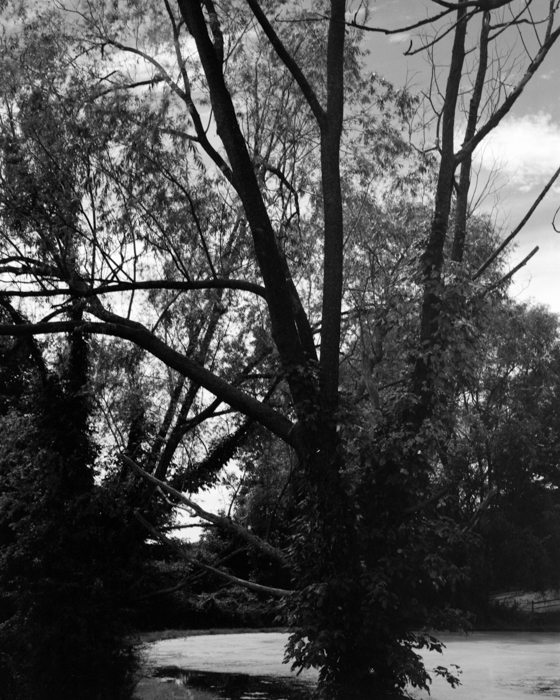 minerva_deak_f_c15_522-001