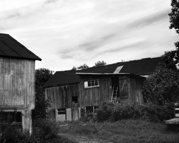 minerva_deak_f_c15_523-001