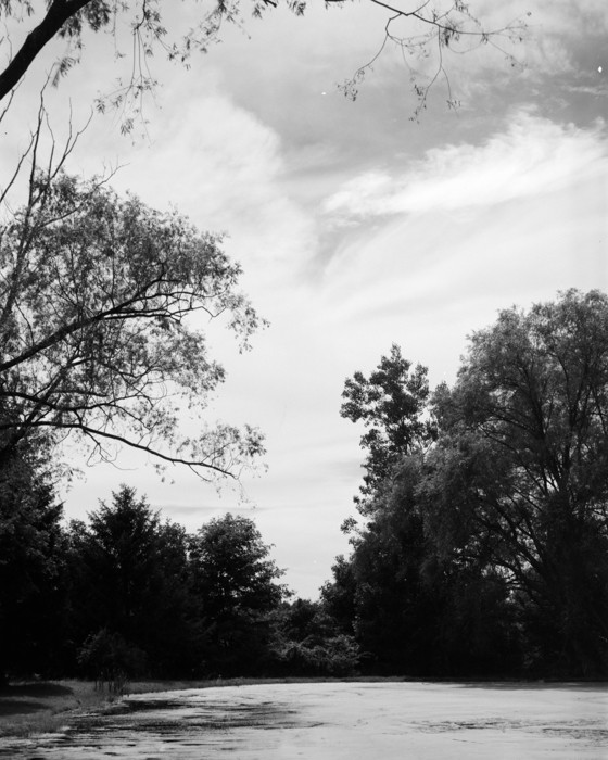 minerva_deak_f_c15_523-003