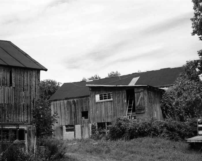 minerva_deak_f_c15_524-001