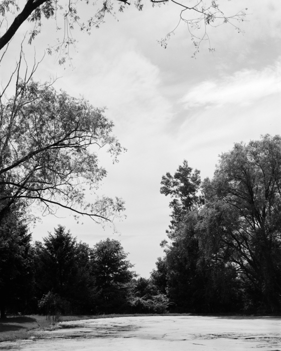 minerva_deak_f_c15_525-002