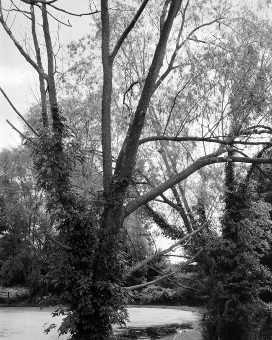 minerva_deak_f_c15_526-002