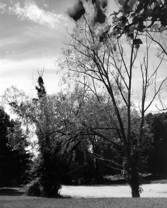 minerva_deak_f_c15_527-001