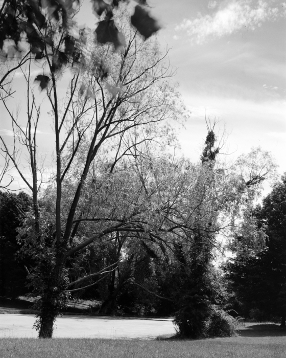 minerva_deak_f_c15_527-002