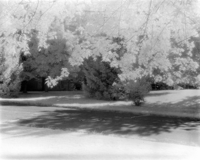 minerva_deak_f_c15_528-001