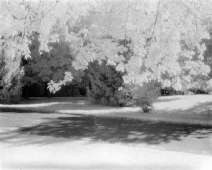 minerva_deak_f_c15_528-002