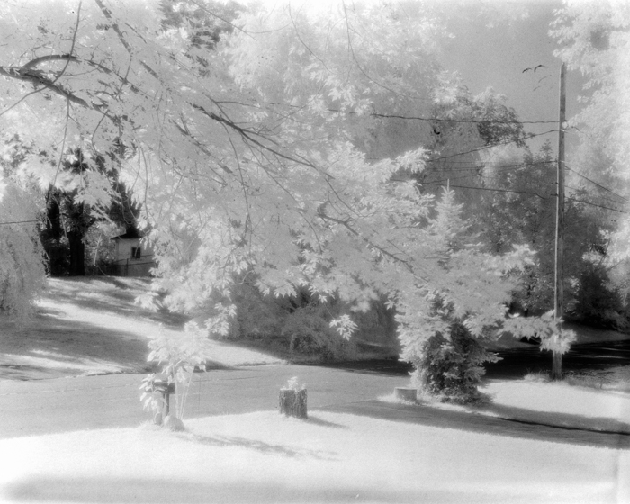 minerva_deak_f_c15_529-001