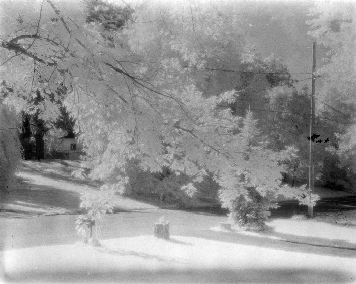 minerva_deak_f_c15_530-001