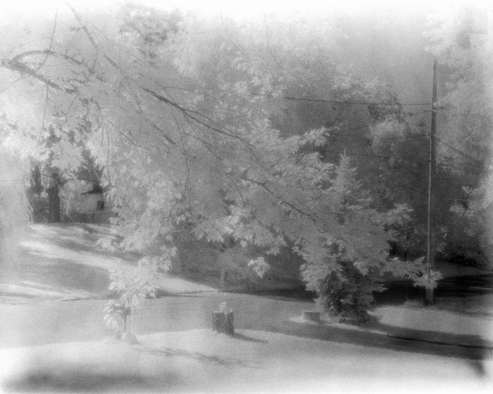 minerva_deak_f_c15_530-002